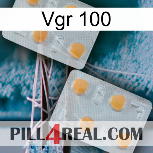 Vgr 100 25.jpg